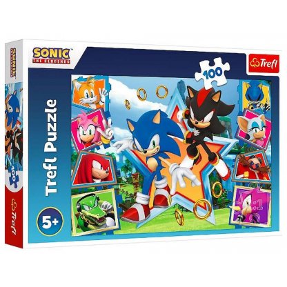 Puzzle 16465 Sonic the Hedgehog 100 dílků