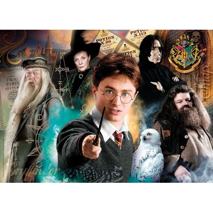 Puzzle 35083 Harry Potter 500 dílků 2