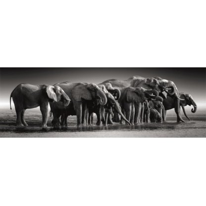 Puzzle 39836 Stádo slonů - 1000 dílků panorama 2