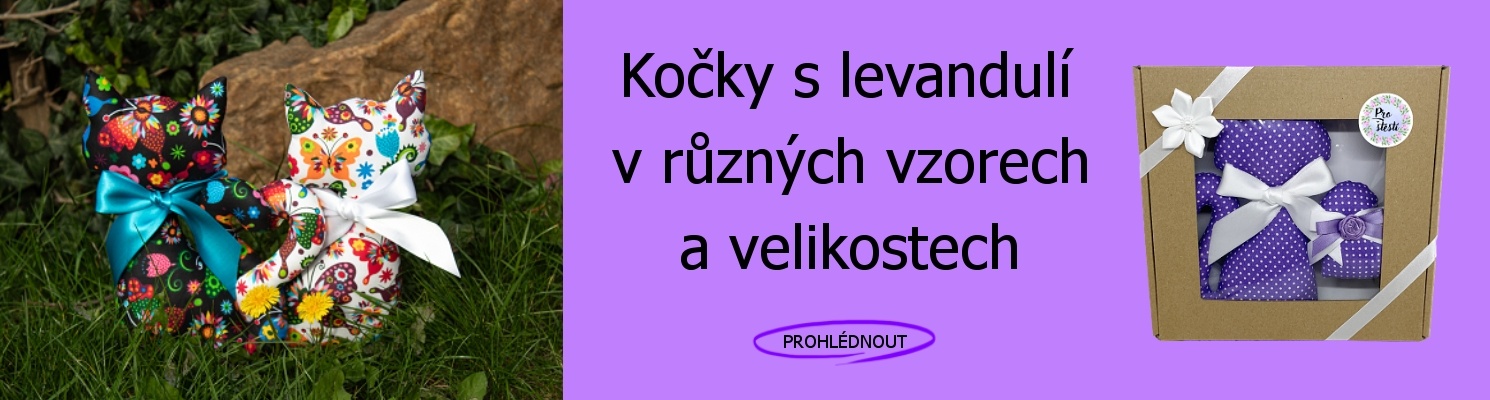 Kočky s levandulí