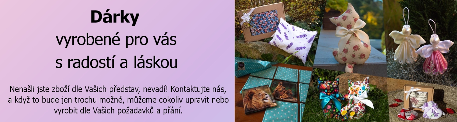 Úvod