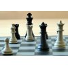 Šachové soupravy