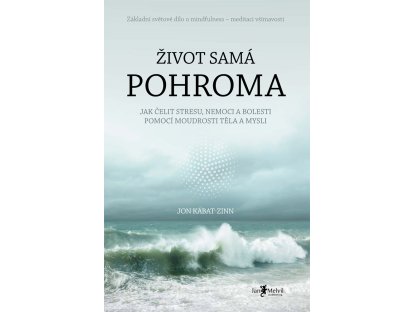 Život samá pohroma - Jak čelit stresu, nemoci a bolesti pomocí moudrosti těla a mysli