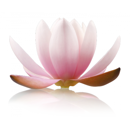 Sanicat Active White Lotus Flower 10 litrů