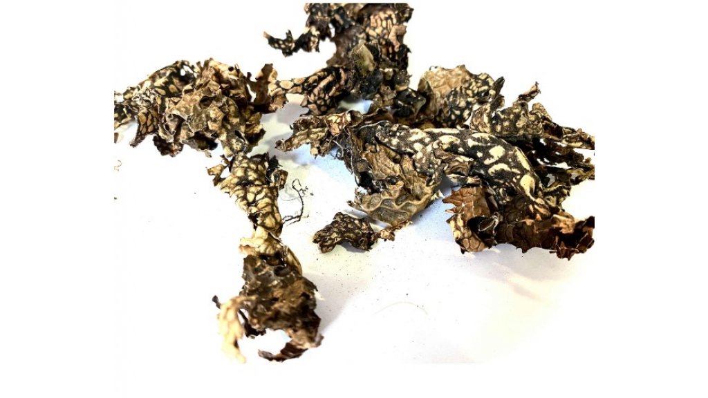 Black lichen 25 g