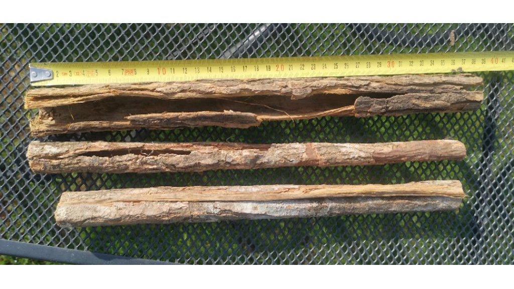 Naturalne drewno na równonogi - różne rodzaje