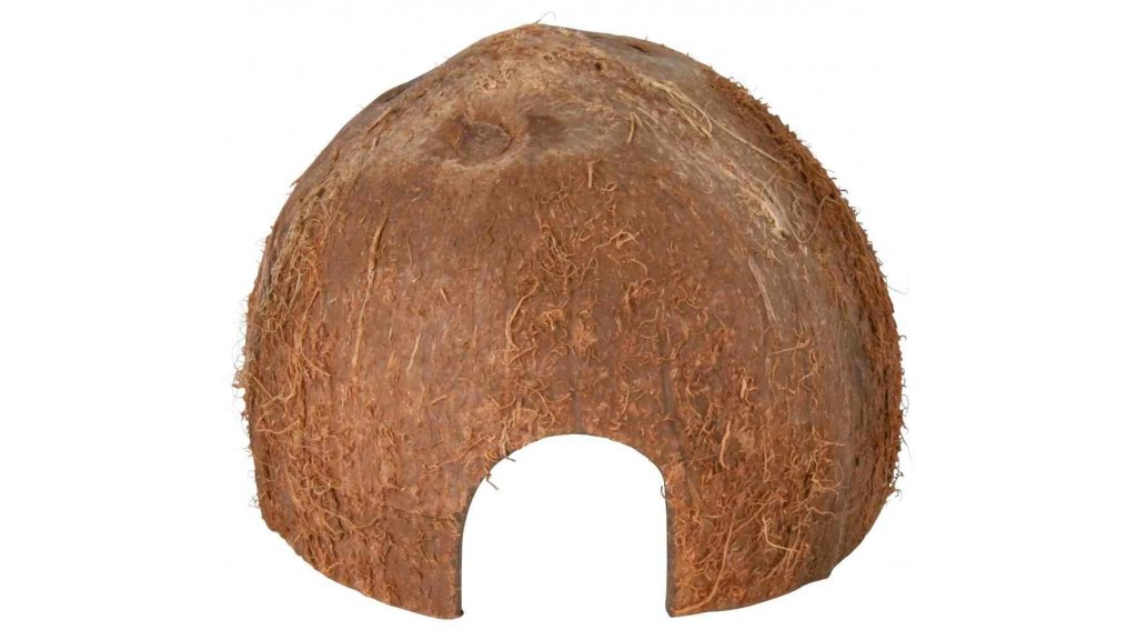 Kokosová skořápka