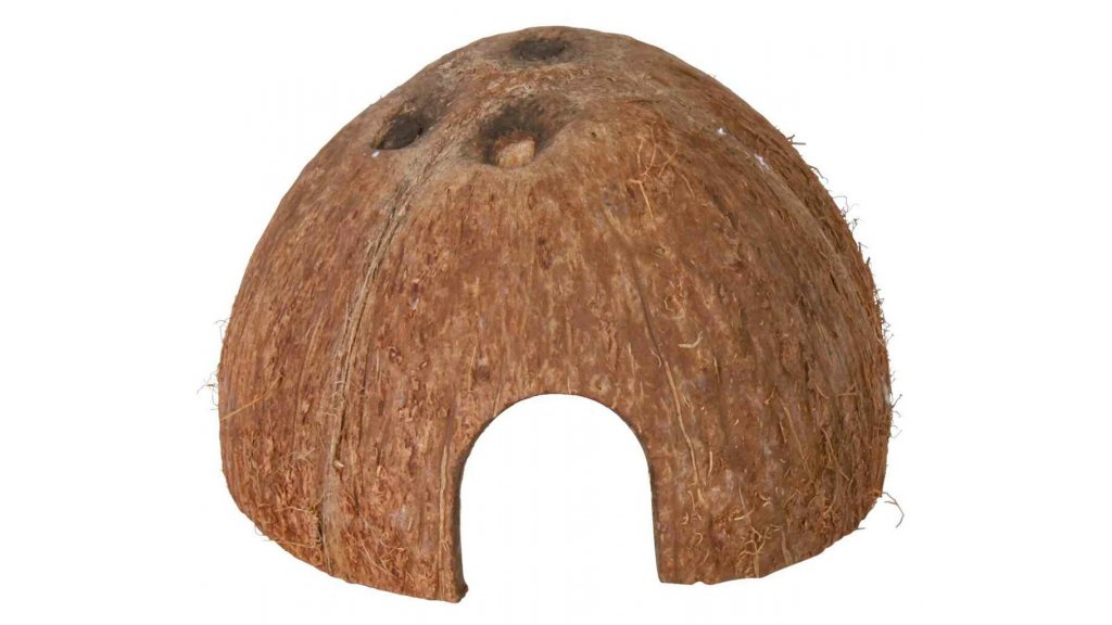 Kokosnussschale