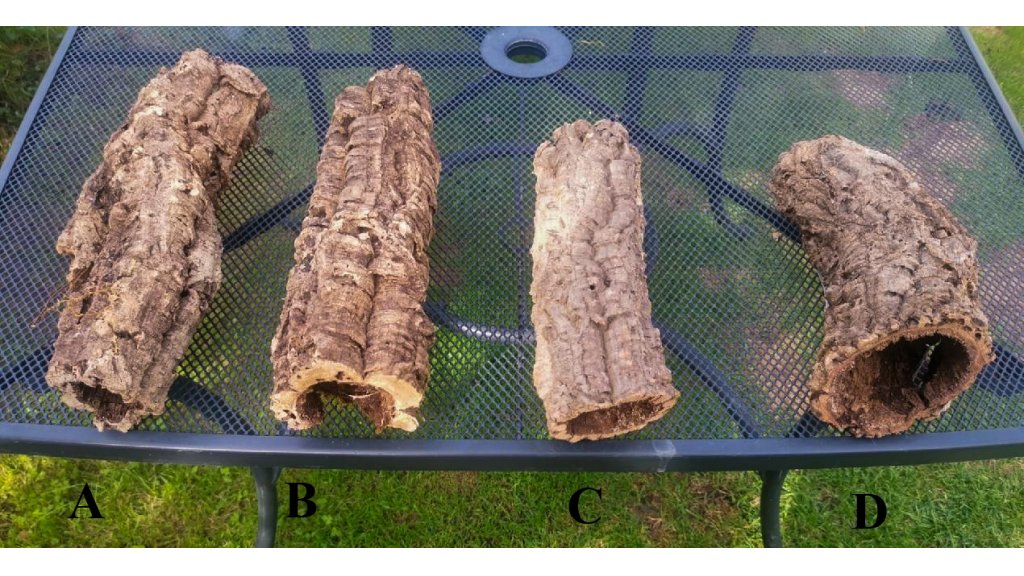 Cork bark - tube 