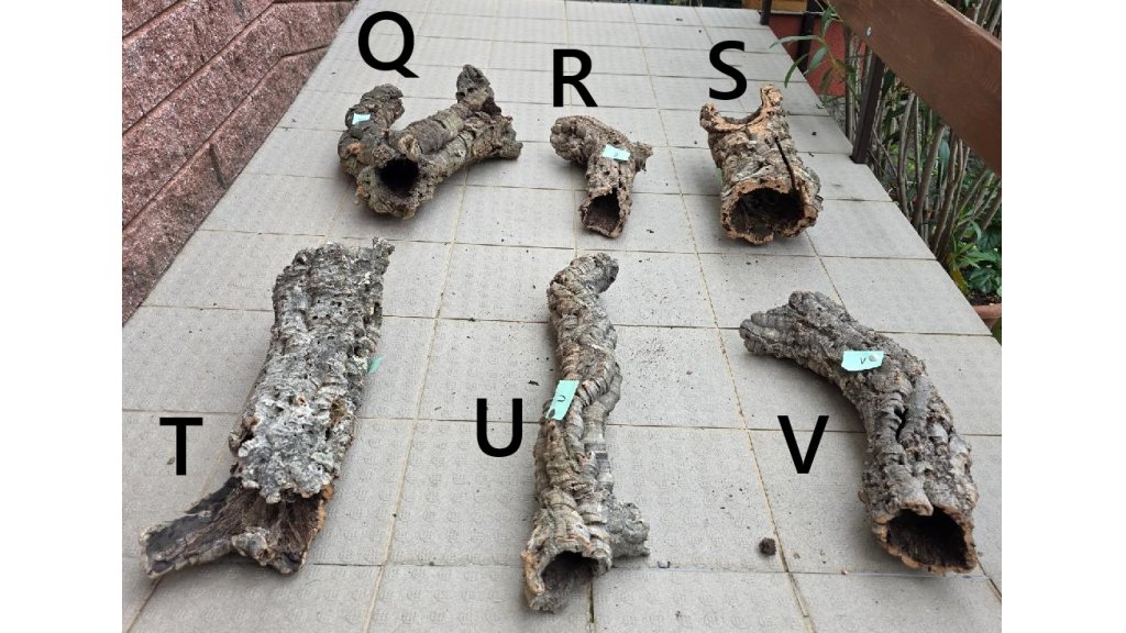 Tubo Corteccia Di Sughero Kork-Deko - 30cm | Tana Per Roditori Naturale - Foto 11