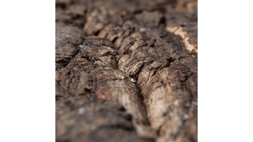 Cork terrarium background 30 x 30 cm 