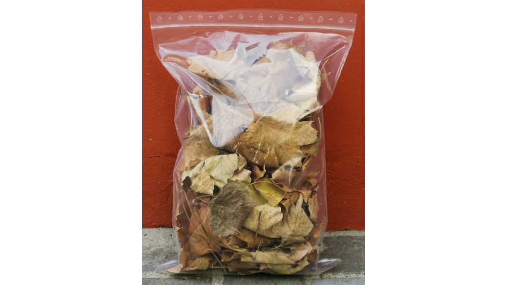 Dried leaves - maple 3 liters