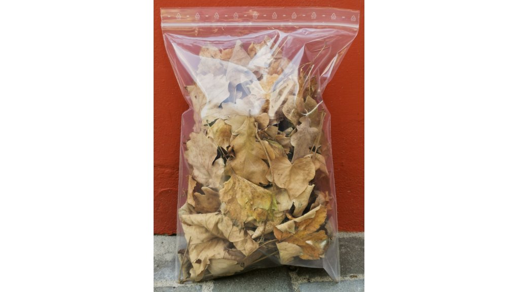 Listy sušené - mix dub, buk a javor (různý poměr) 3 litry