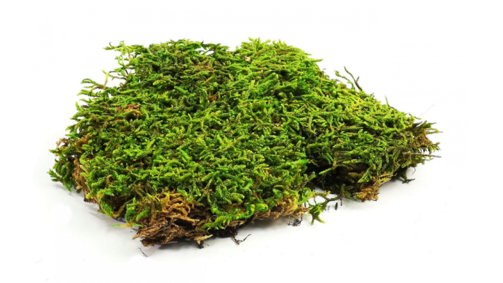 Natural moss sheets 