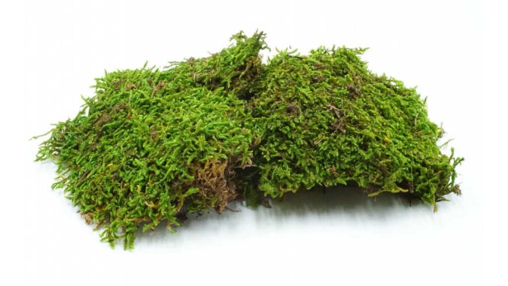 Natural moss sheets 