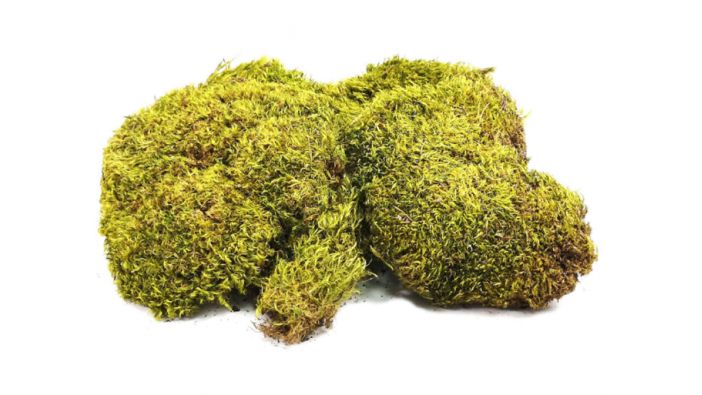 Natural moss pillows 100 g