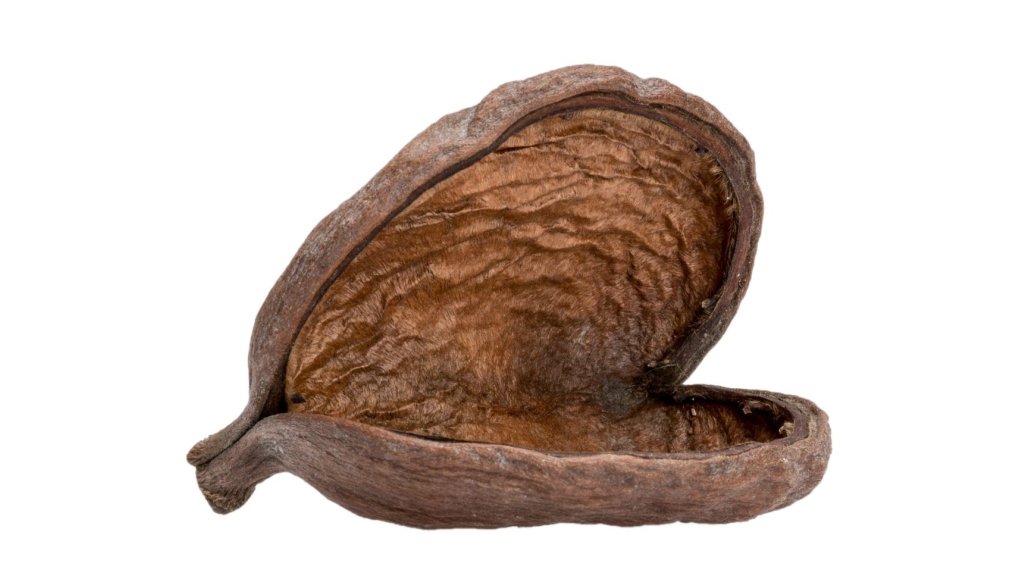 Přírodní úkryty pro stínky - různé typy 