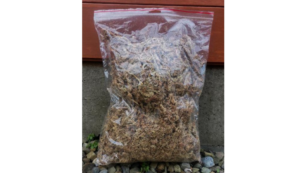 Southern american sphagnum moss dried 5 liters