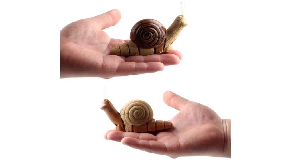 Remote control snail 