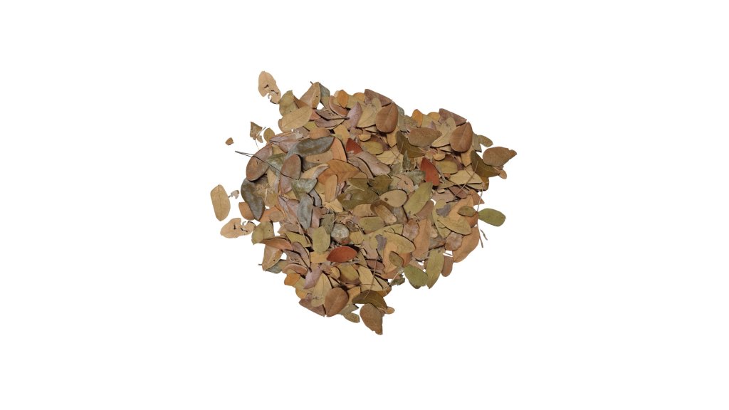 Dried small tropical leaves 20 g