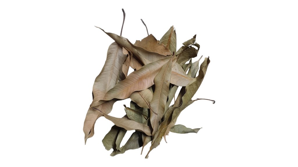 Dried mango leaves 20 g