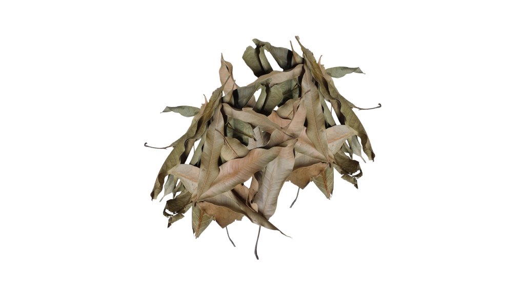 Dried mango leaves 20 g