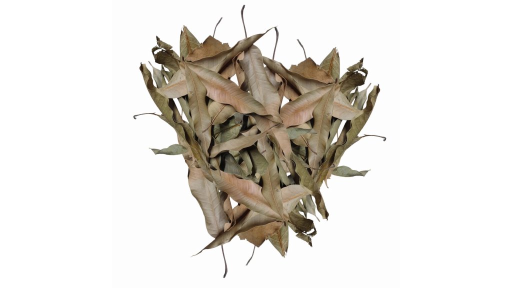 Dried mango leaves 20 g