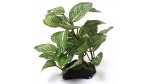 Artificial plant - different types