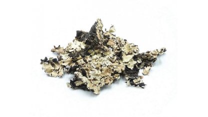 Black lichen 25 g