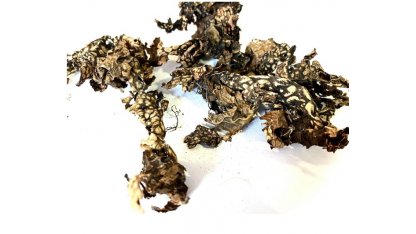 Black lichen 25 g 2