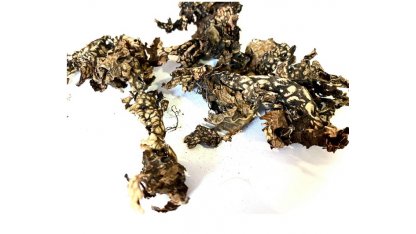 Black lichen 25 g