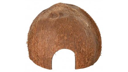 Kokosnussschale