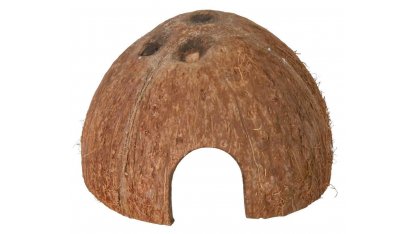 Skorupa orzecha kokosowego