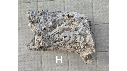Korková kůra - roura
