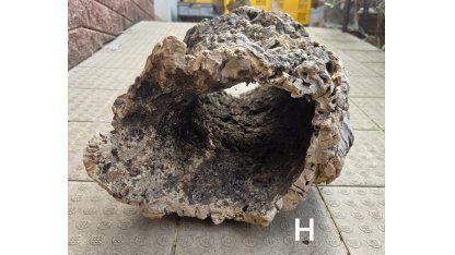 Korková kůra - roura