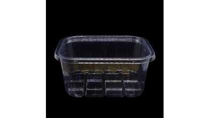Box with lid 700 ml 