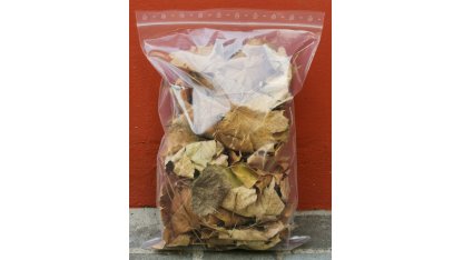 Getrocknete Blätter - Mix aus Buche und Ahorn 3 Liter