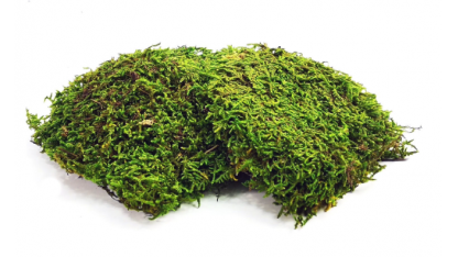 Natural moss sheets 