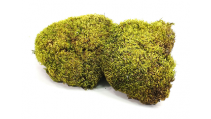 Natural moss pillows 100 g