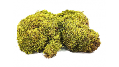 Natural moss pillows 100 g 2