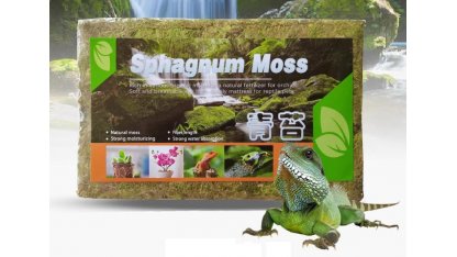 Sphagnum moss, compressed 150 g 2