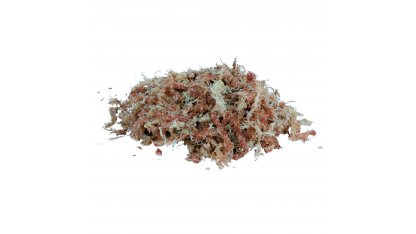 Sphagnum-Moos, tropisches Terrariensubstrat 100 g 2