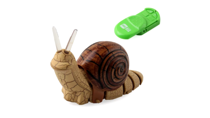 Remote control snail 