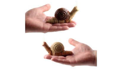 Remote control snail 