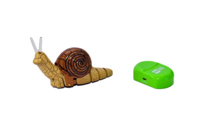 Remote control snail  2