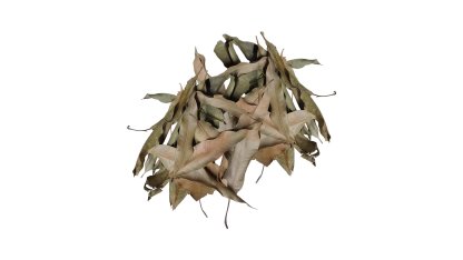 Dried mango leaves 20 g 2