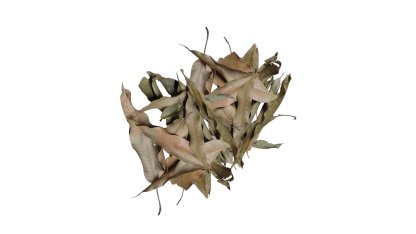 Dried mango leaves 20 g