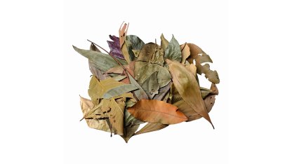 Dried mix of tropical leaves from Thailand 20 g