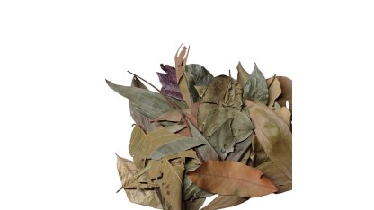 Dried mix of tropical leaves from Thailand 20 g