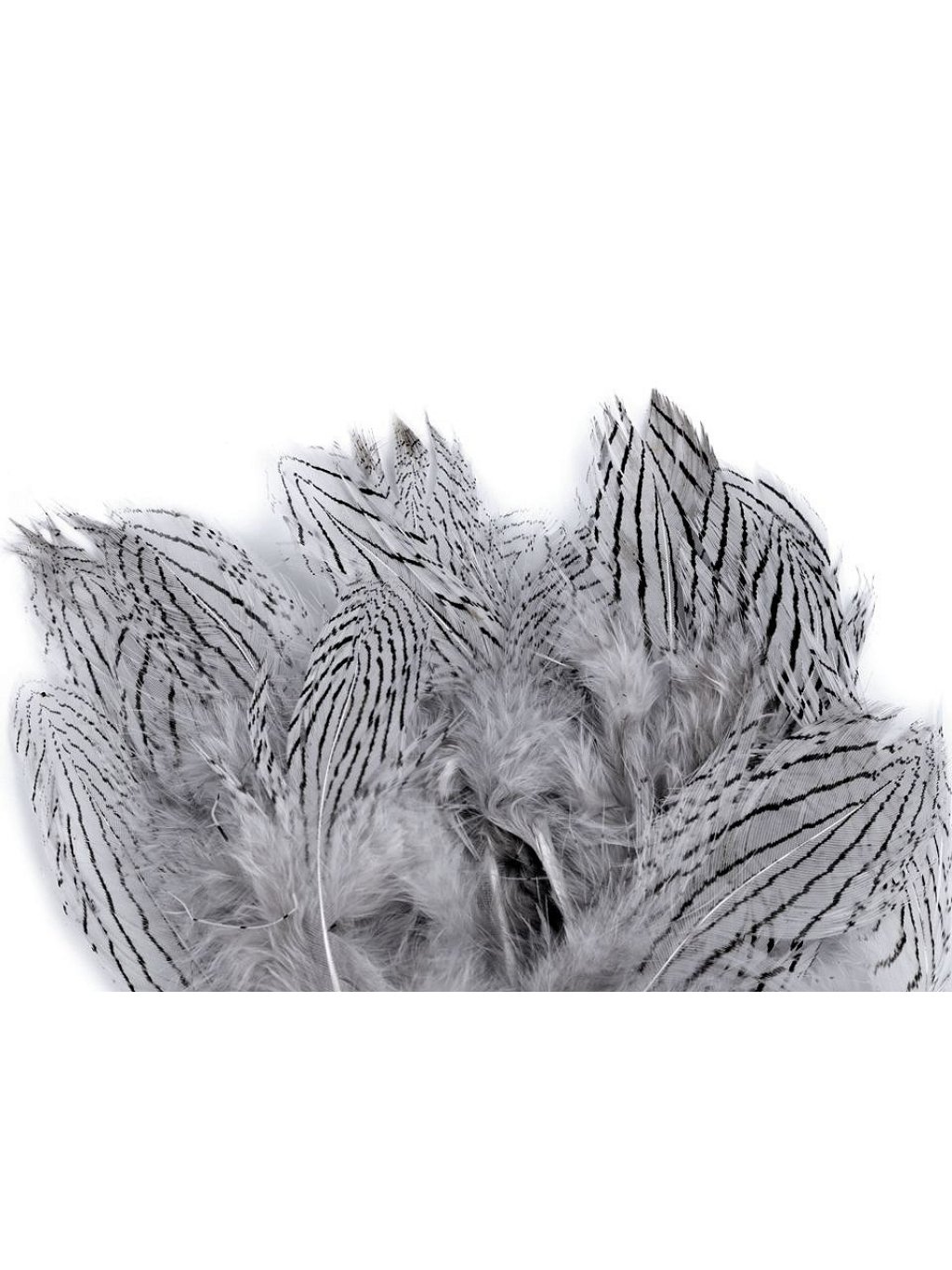 Bažantí peří šedá světlá 5 - 11 cm